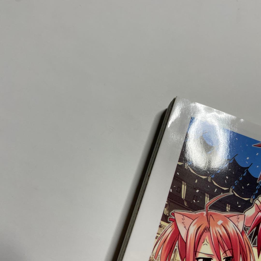 魔法先生ネギま！ 22巻 限定版 中古品 バッジ付き - メルカリ