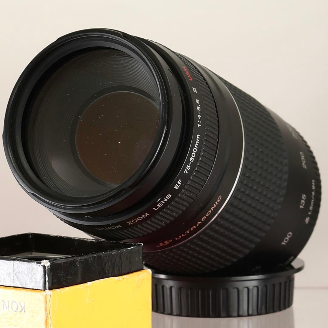 【完動品】Canon EF 75-300mm f/4-5.6 Ⅲ USM