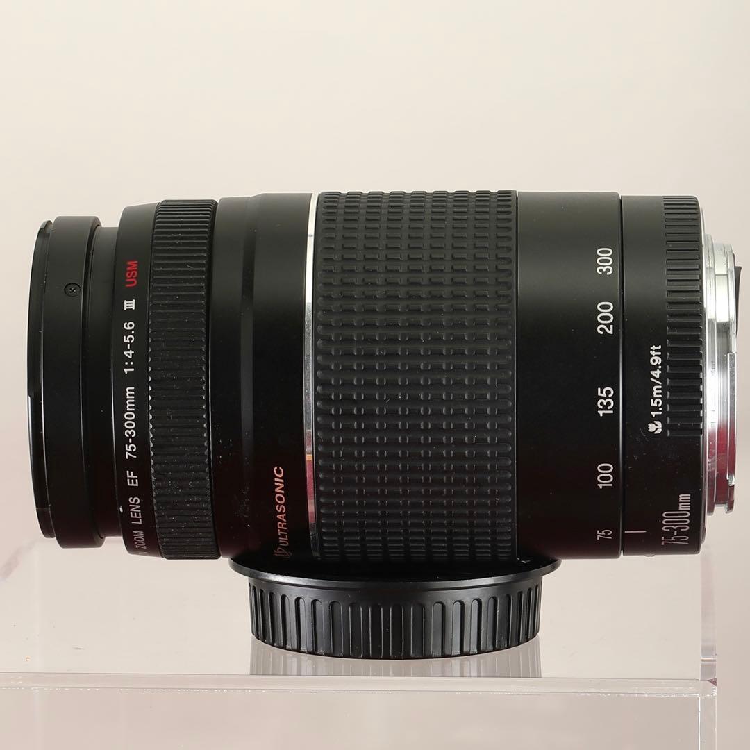【完動品】Canon EF 75-300mm f/4-5.6 Ⅲ USM