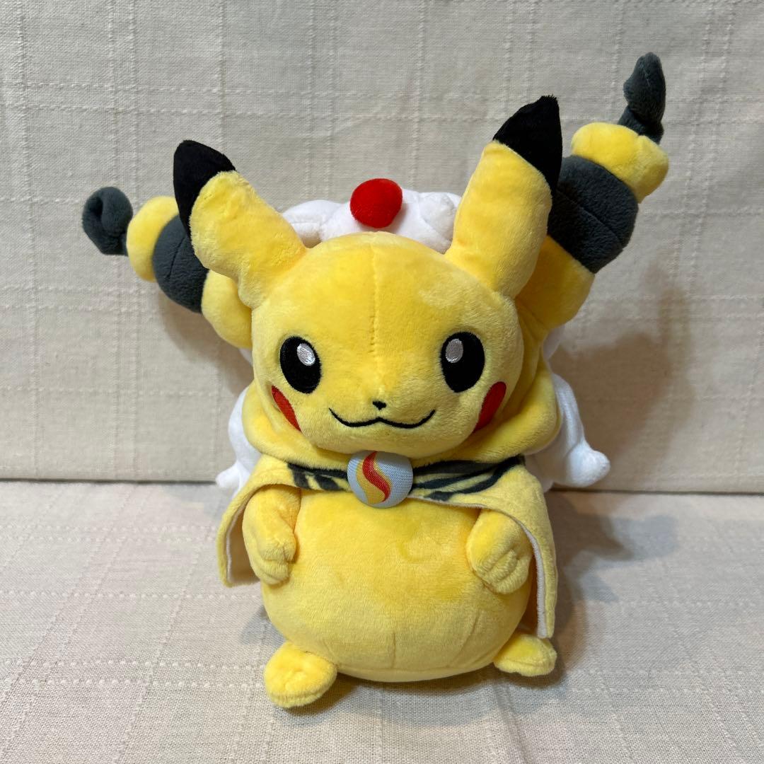 メガデンリュウの着ぐるみ ピカチュウのぬいぐるみ - メルカリ
