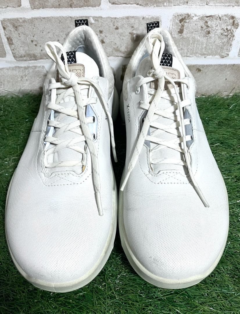 【ヨッシー】ecco エコーゴルフ biom H4 25.5cm