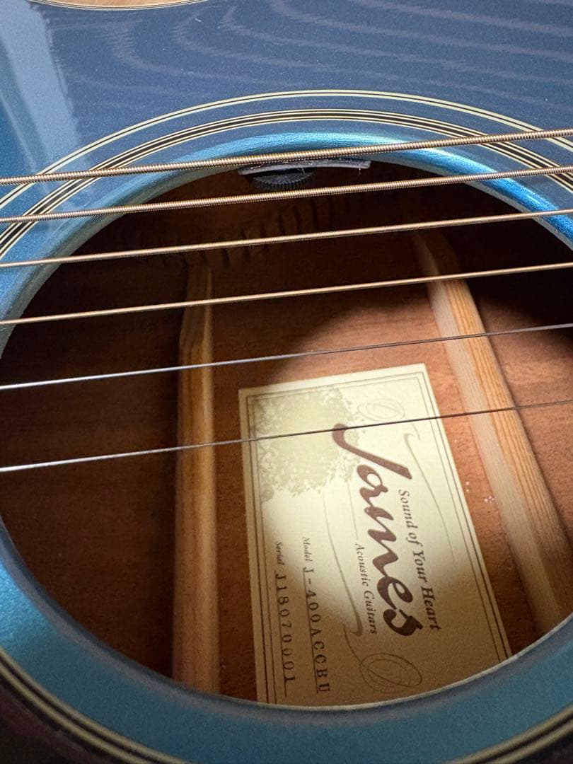 エレアコ アコースティックギター James J-400ACCBU