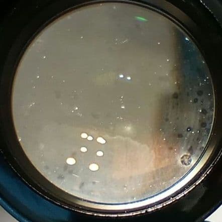 《希少》YASHICA AUTO YASHINON DS-M 50mm F1.4