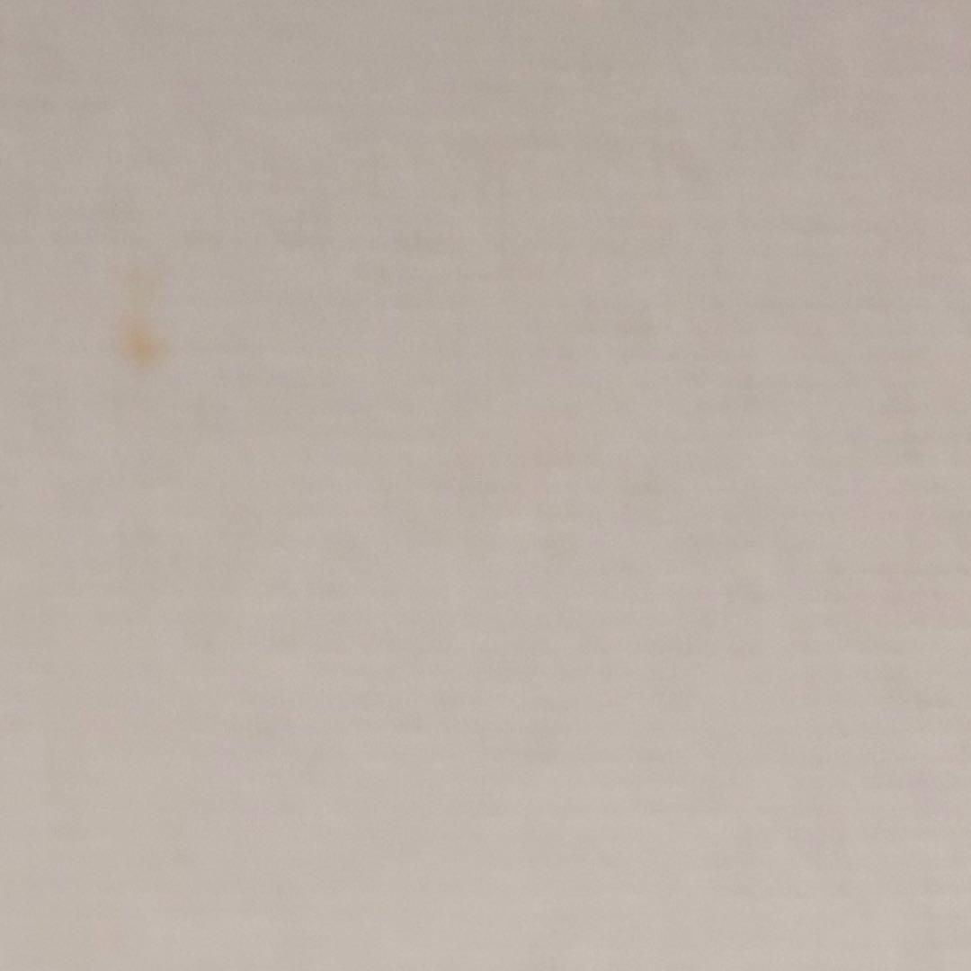 ベッキオバンビーノ Vecchio Bambino | Charity Classic Car Rally