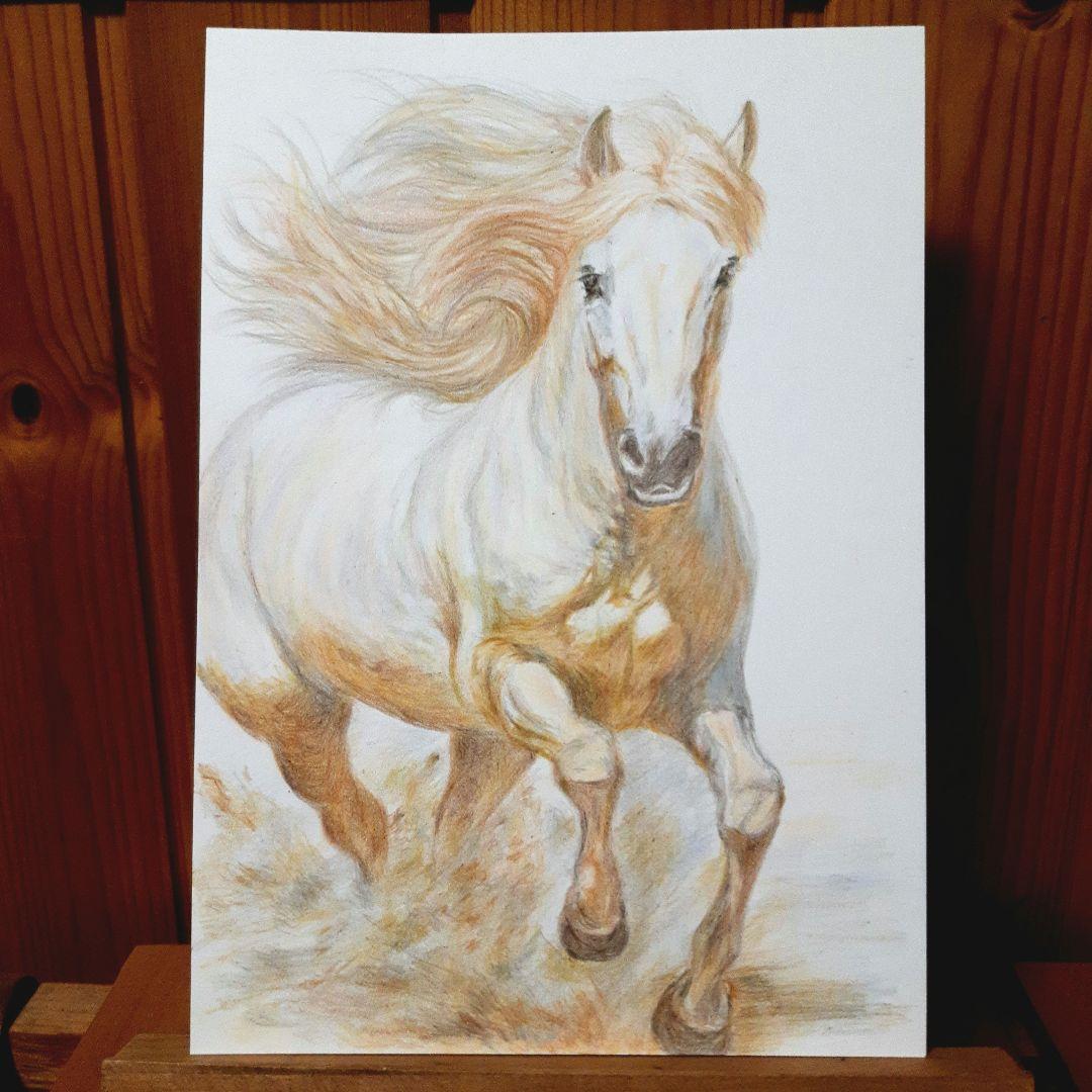 色鉛筆画 A5サイズ 手描き 馬の絵 開運 - メルカリ