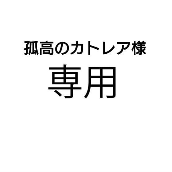 孤高のカトレア Z/X -Zillions of enemy X- RUMBLING FORCE | TCG / サプライ| 株式
