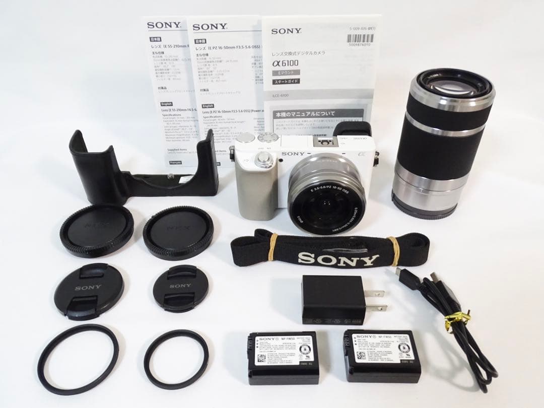 ◇美品◇SONY α6100 ダブルレンズセット シャッター数:5,159回