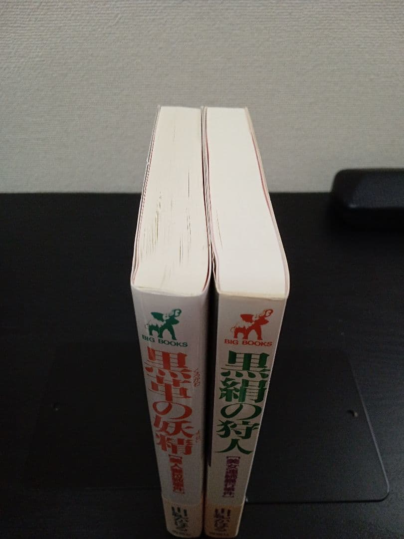 由紀かほる 絶版 新書 帯付 初版 2冊 官能小説 BIG BOOKS 青樹社