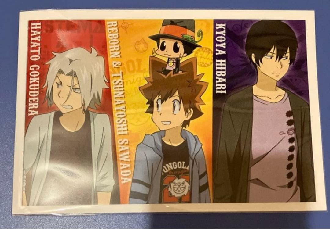 家庭教師ヒットマンREBORN ポストカード 雲雀恭弥 獄寺隼人 沢田綱吉