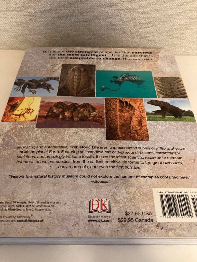 洋書多読 図鑑など7冊 恐竜 鉱物 古生物encyclopedia 人体 - メルカリ