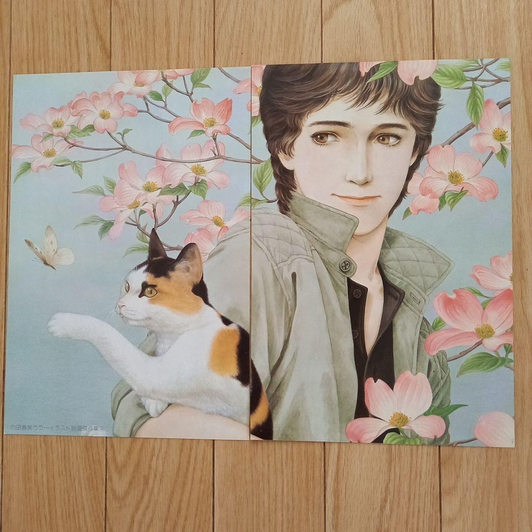 内田善美カラーイラスト自選傑作集 - メルカリ