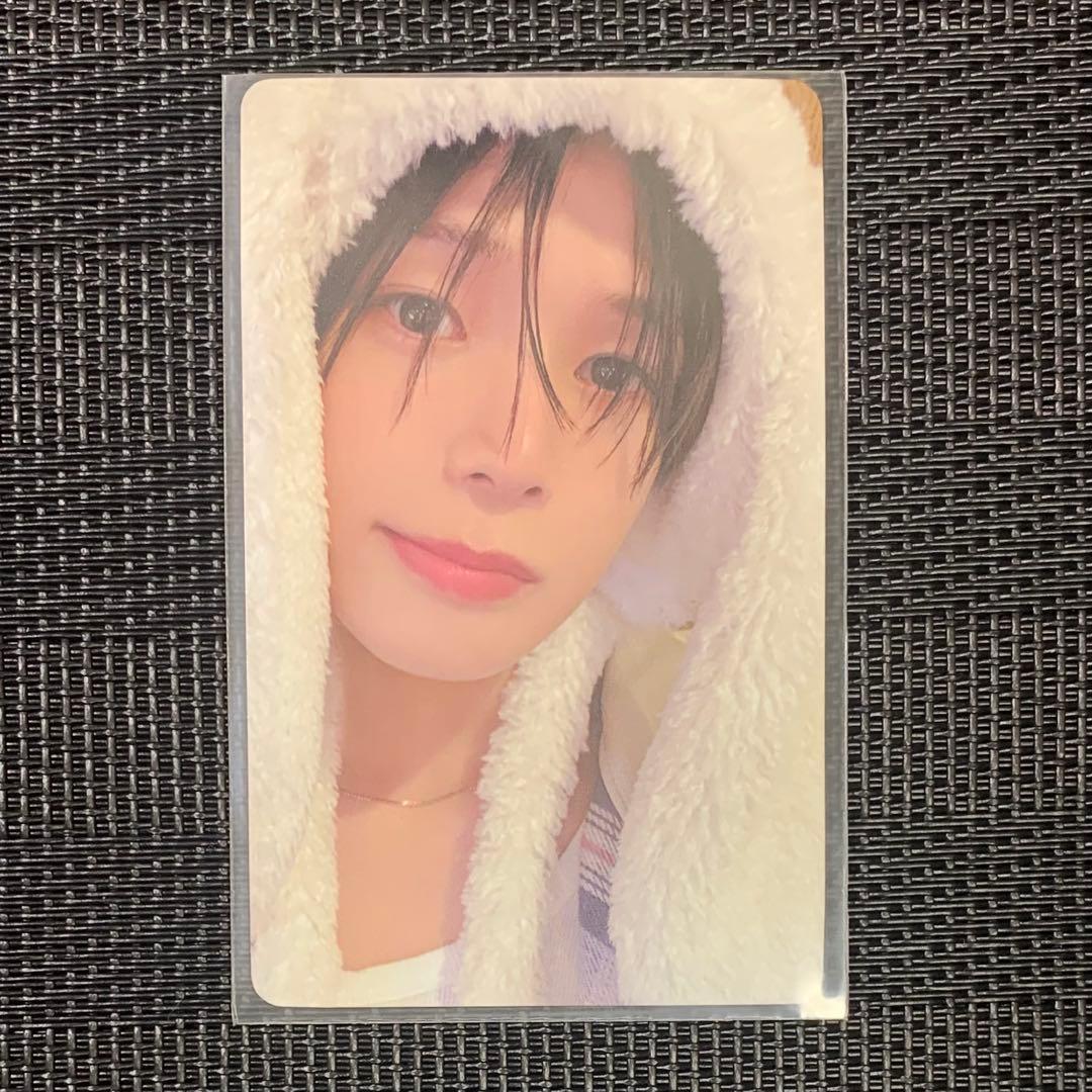 &TEAM K ケイ 雪明かり アニマルトレカ - メルカリ