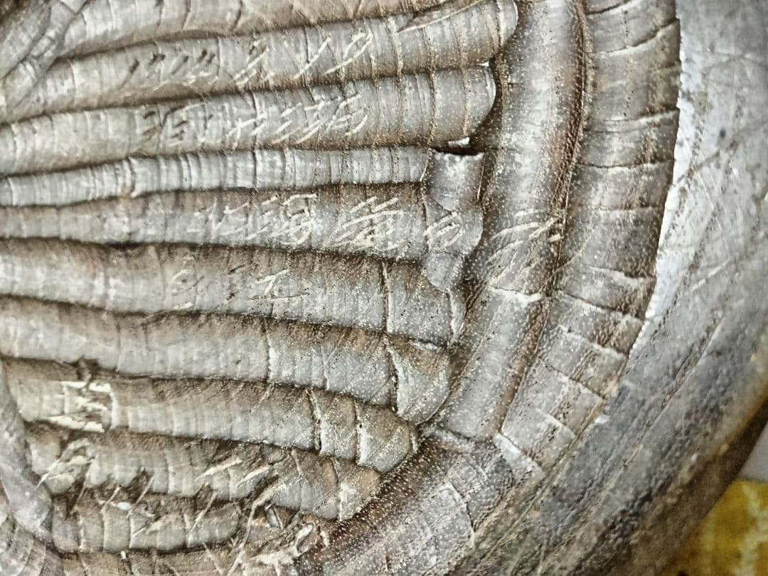 青山作 木彫 フクロウの置物 北海道洞爺湖 民藝 - メルカリ