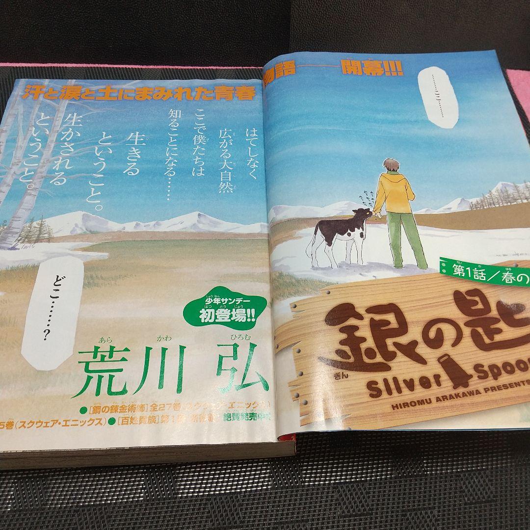 週刊少年サンデー 2011年19号※銀の匙 新連載 荒川弘※クリアファイル未