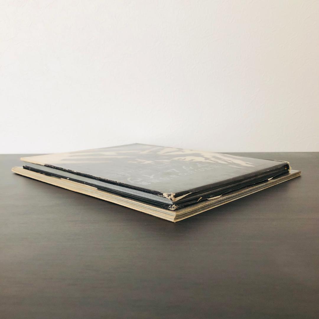 若林のぶゆき 写真集 セット アッ とびだした女たち アダムとイヴ