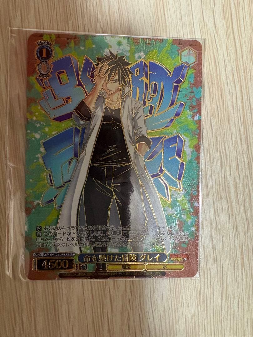 命を懸けた冒険グレイPR＋ヴァイス フェアリーテイル