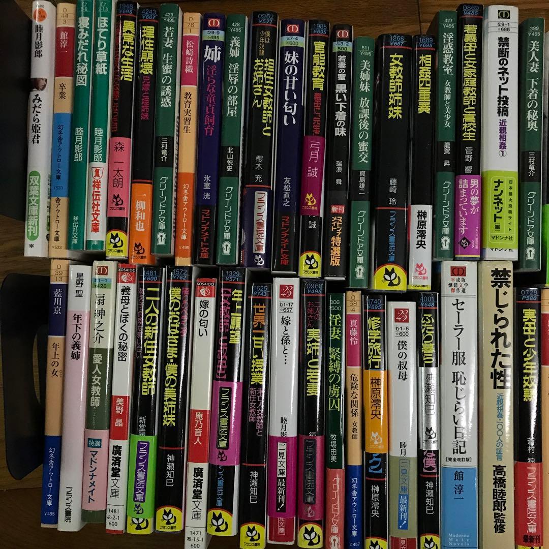 官能小説まとめ売り③フランス書院その他あり