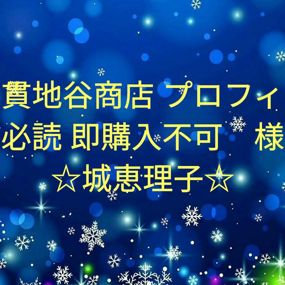 貫地谷商店 プロフィ必読 即購入不可　　城恵理子セット