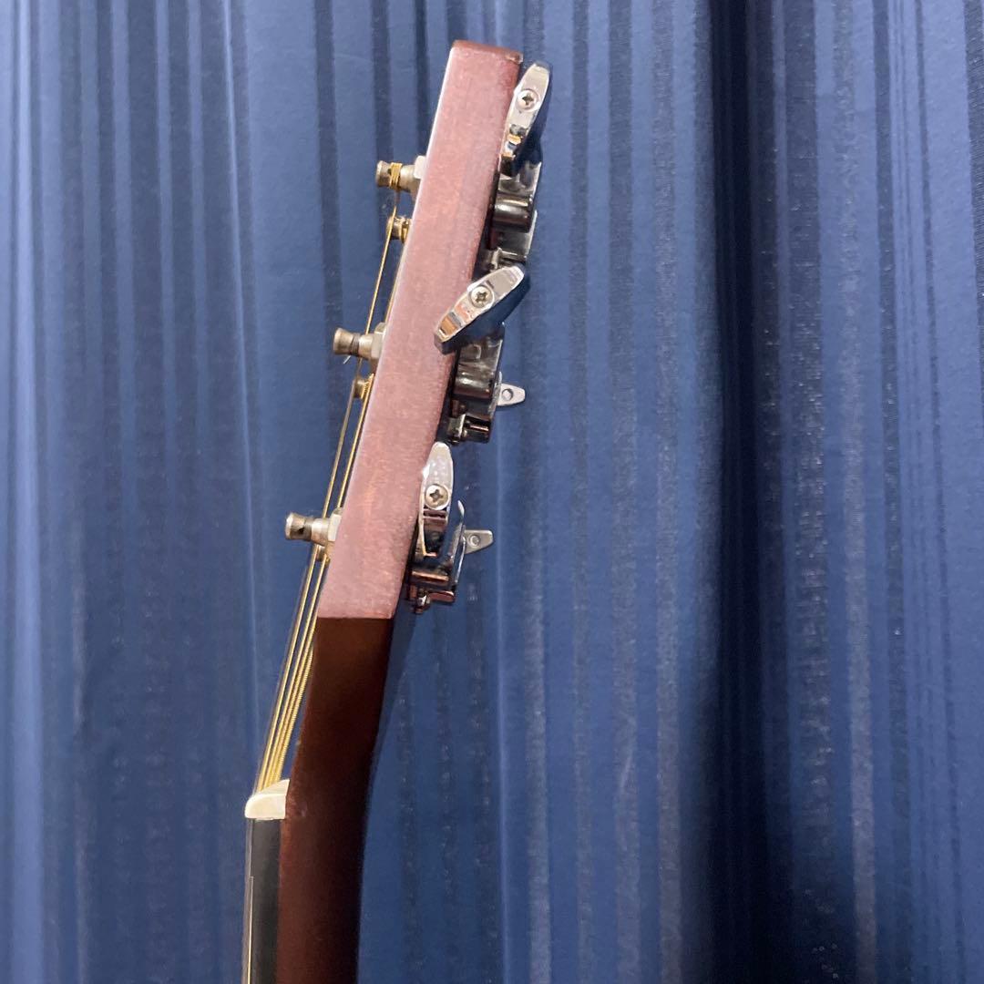 最終値下げ】takamine ギター T-F2TBS ハードケース付き