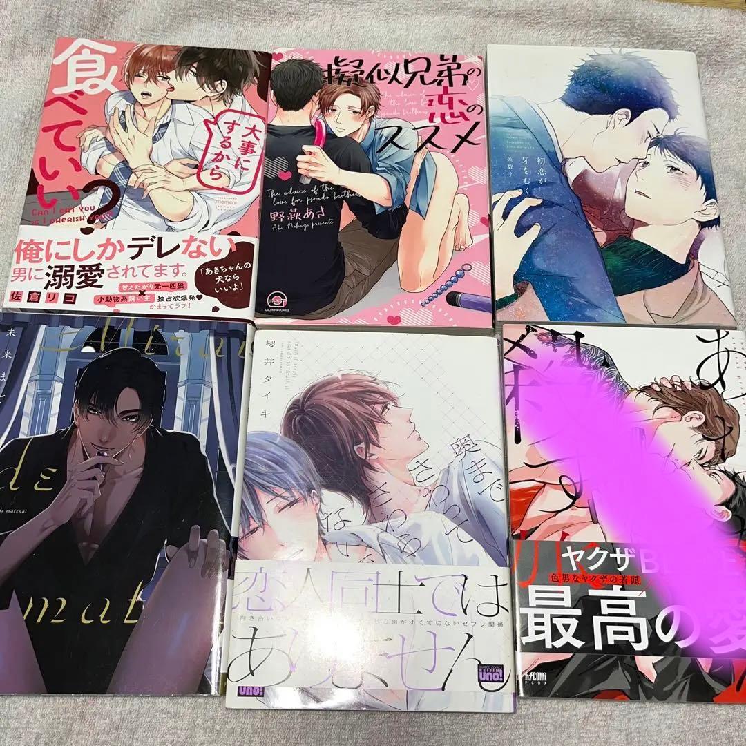 漫画 小説 追加 BL ボーイズラブ 2冊セットからおまとめ購入OK BL漫画