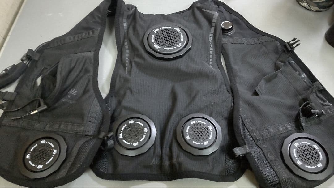 ワークマン2025ペルチェベスト　スペシャルエディション 今年の夏は電子で冷やせ！ 話題のワークマン・ペルチェベストプロが