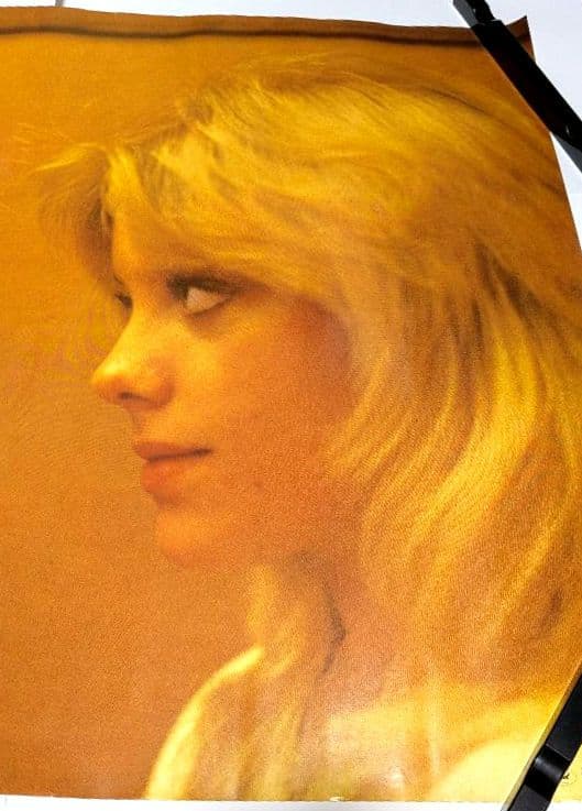 シェリー アンド マリー カリー 1980年 プロモポスター 新品・未使用品