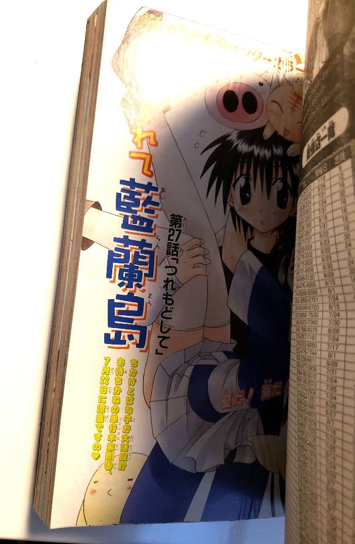 月刊少年ガンガン 2004年 8月 超特大号 鋼の錬金術師 ハガレン - メルカリ
