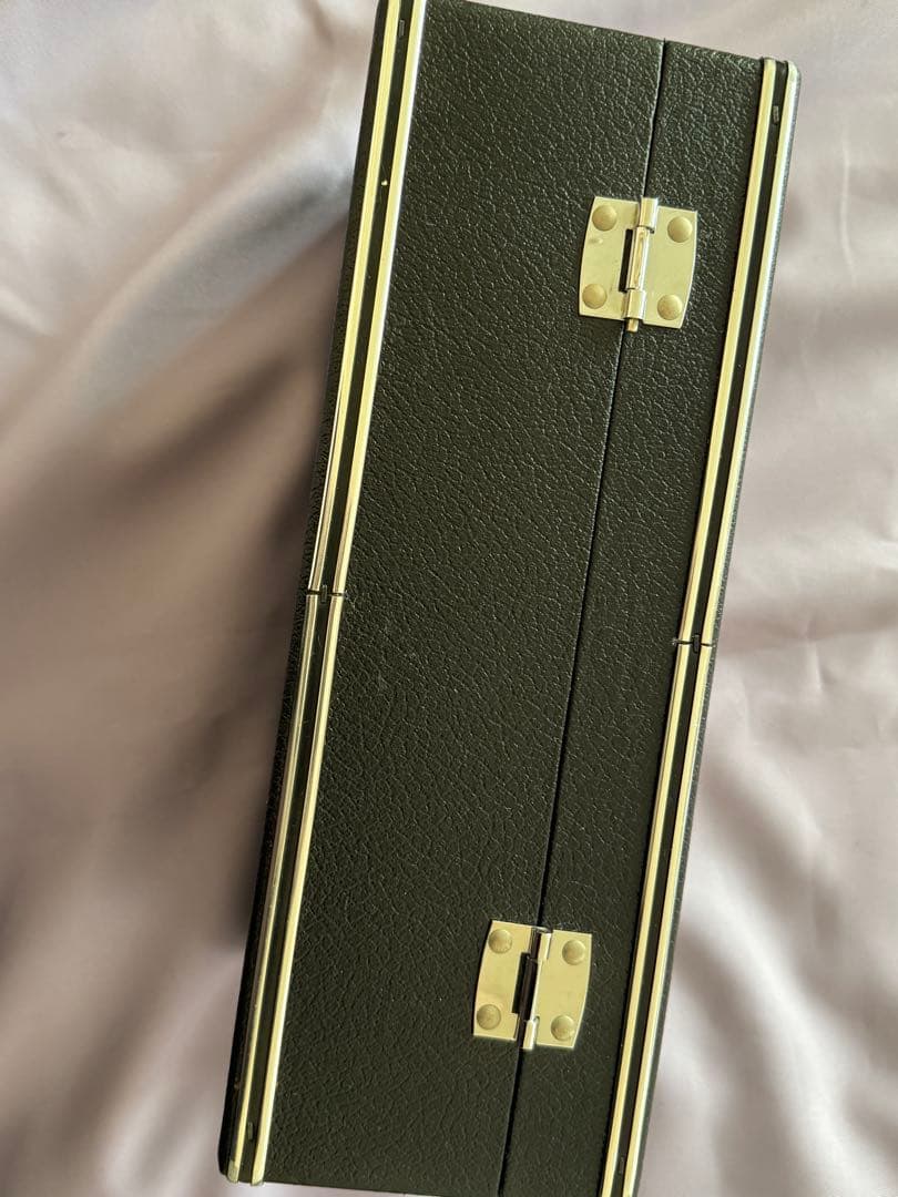 【最終価格】良導絡　美品　ケース入り　トロメーター ノイロメーター　IW-ZEN