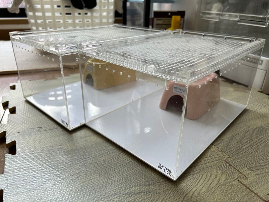 レプタイルボックスまとめ売り XLサイズ】レプタイルボックス 39 8×25×20 5cm 爬虫類ケージ 飼育