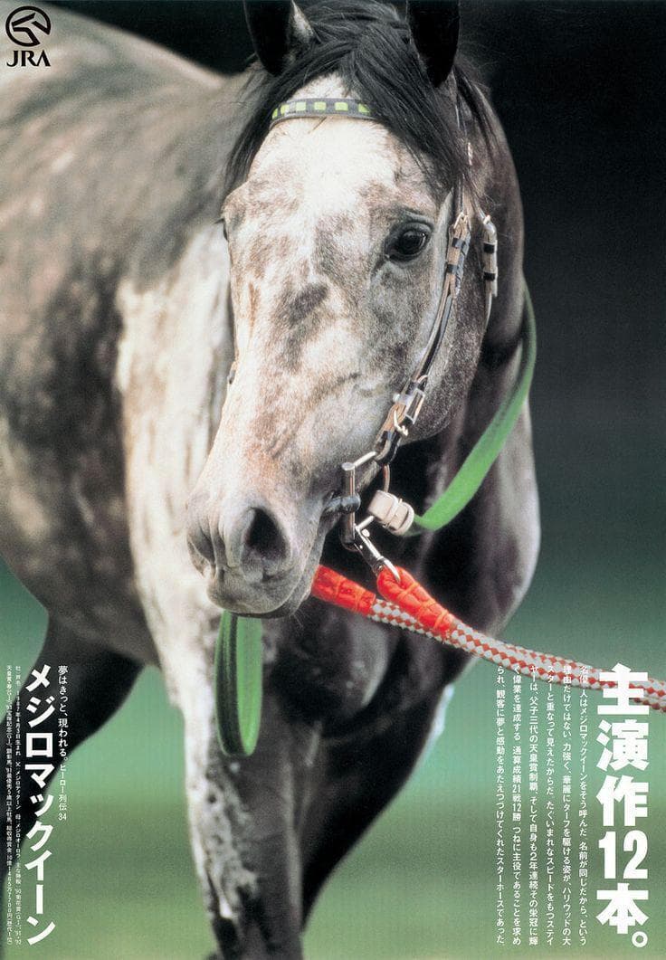 【非売品】メジロマックイーン ポスター B3サイズ 競馬ヒーロー列伝ウマ娘馬 非売品】JRA ヒーロー列伝 B3 ポスター うま娘 ウオッカ - メルカリ