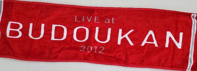 SPYAIR インディーズ含むグッズまとめ売り うちわ、タオル、Tシャツ