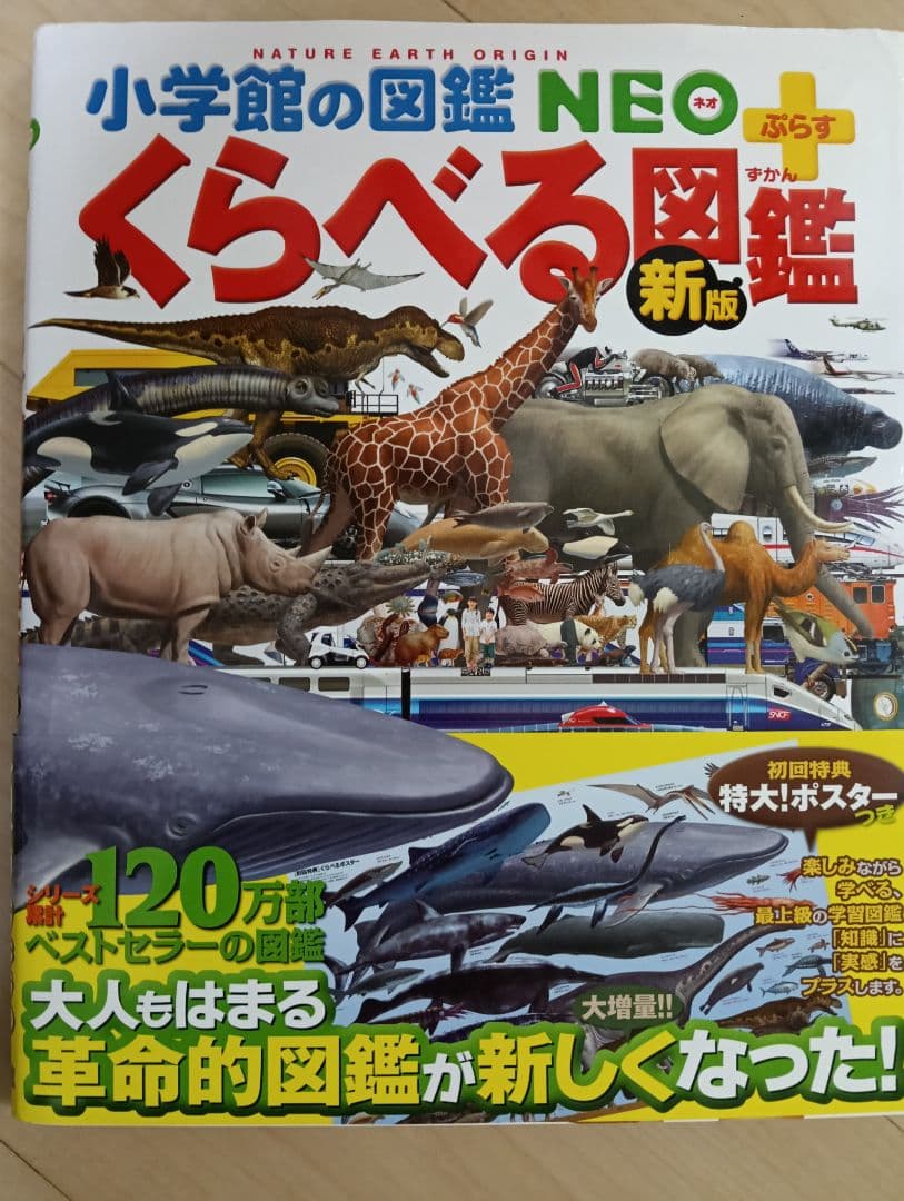 小学館の図鑑 NEO 新版 昆虫 花 恐竜 動物 鳥 魚 新版 学研 LIVE