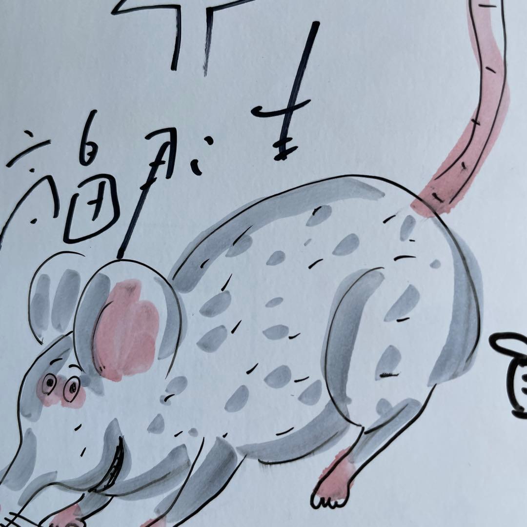 初版 帯付き 鈴木のりたけサインあり おえかきしりとり - メルカリ