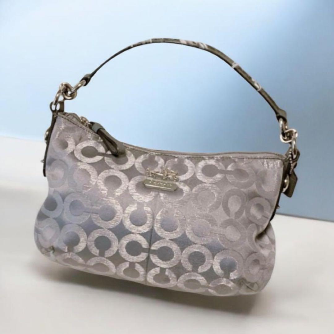 COACH ワンショルダー バッグ アクセサリーポーチ シルバー系