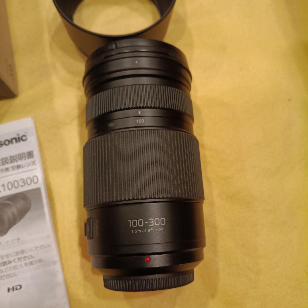 レンズ(ズーム) LUMIX G VALIO 100-300mm F4.0-5.6 II