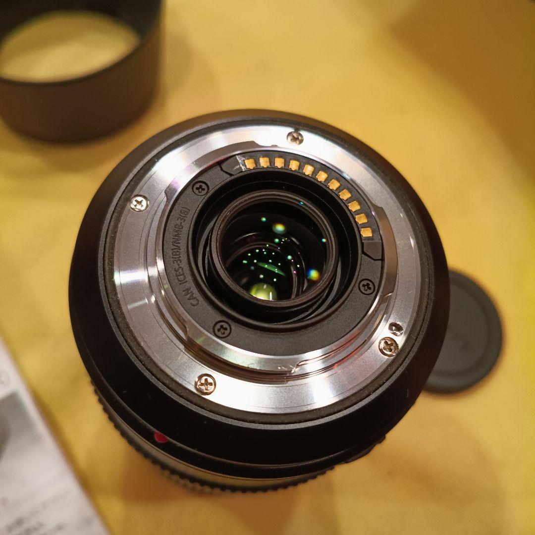 レンズ(ズーム) LUMIX G VALIO 100-300mm F4.0-5.6 II