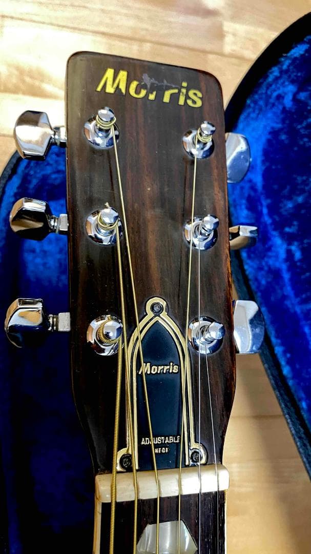 勇*悟様 値下げ希少❣人気種 1973年morris W-40 ハカランダ！HC - メルカリ