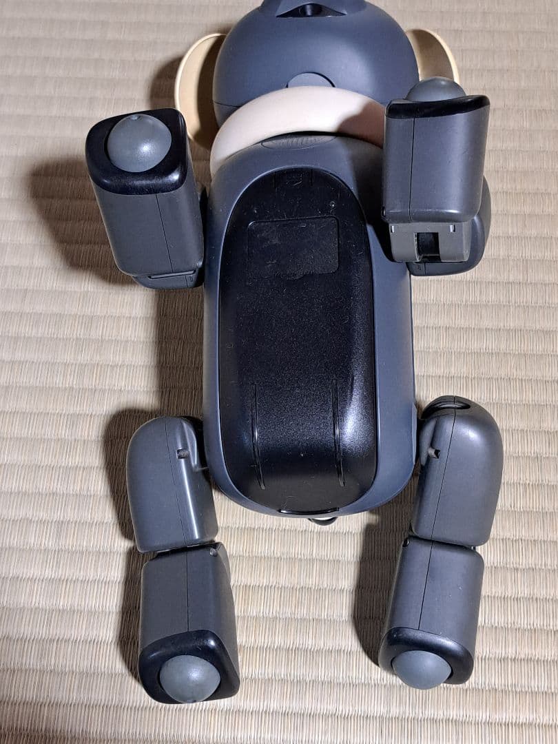 SONYアイボ 犬型ロボット ERS-312音声認識 直ぐ動く本体、付属品
