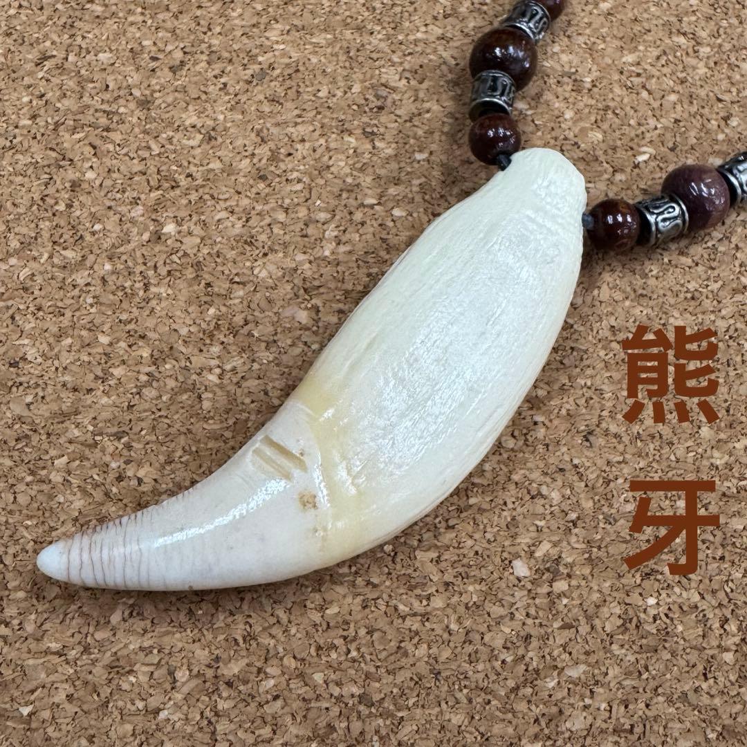 熊牙 ヒグマのキバ ネックレス 熊の牙 約7センチ - メルカリ