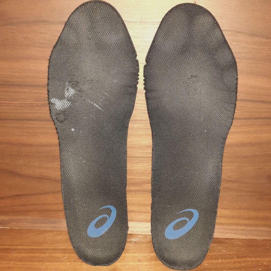 ウィンジョブ®CP120 3E相当　26.5cm