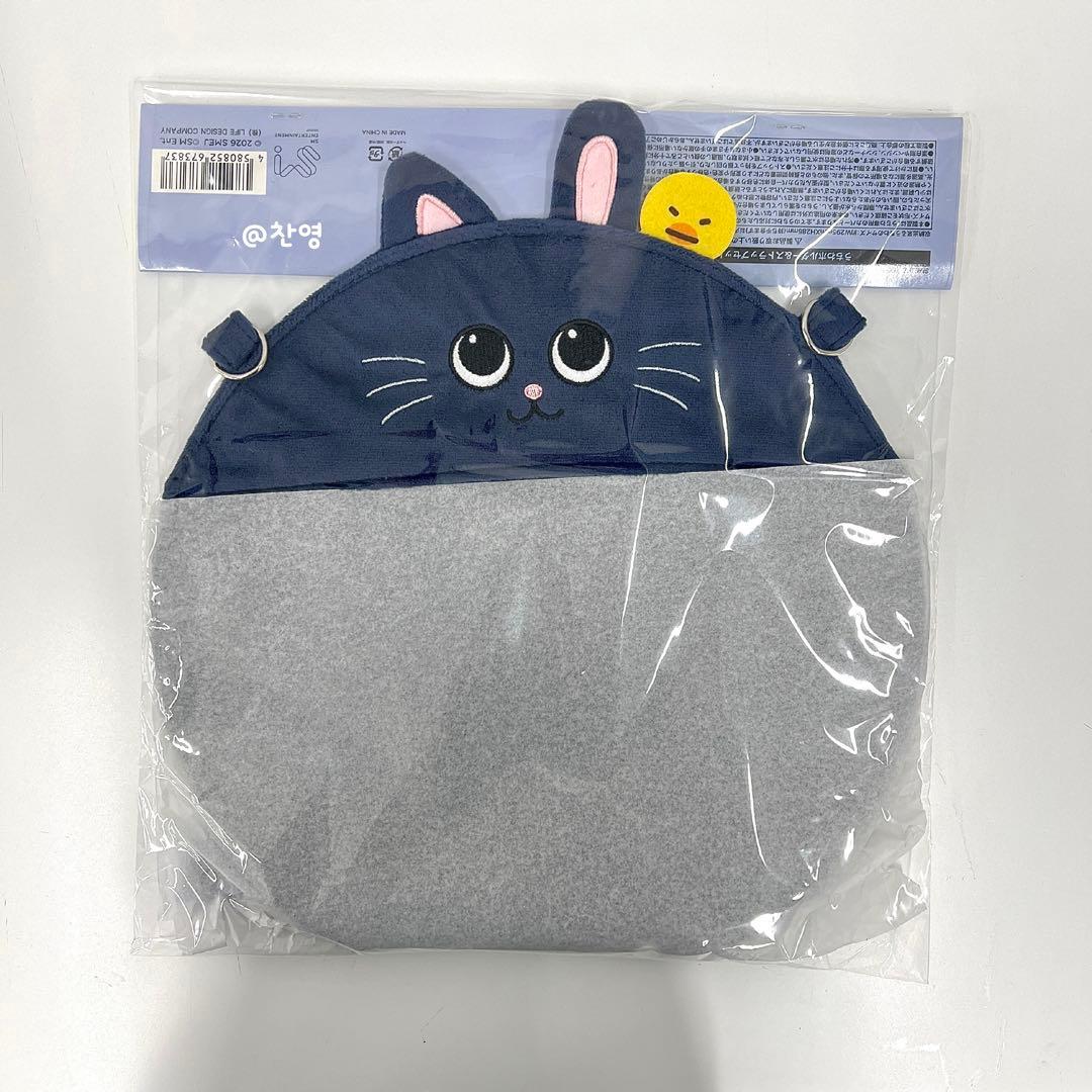 RIIZE 東京ドーム ファンライトバッグ うちわホルダー ウォンビン