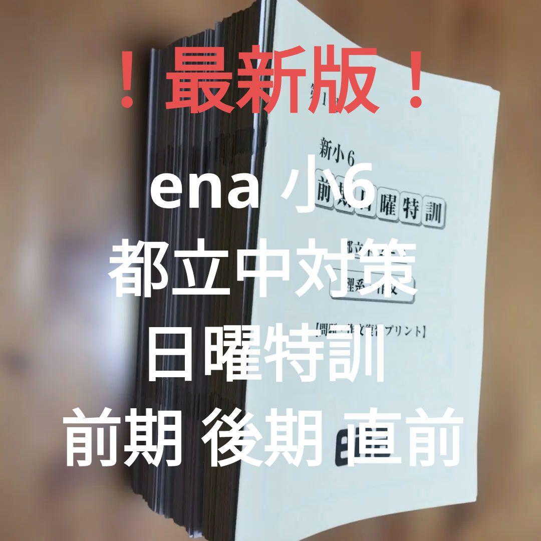 最新版 小6 日曜特訓 前期日特 後期日特 直前特訓 三鷹中 全31回 バラ