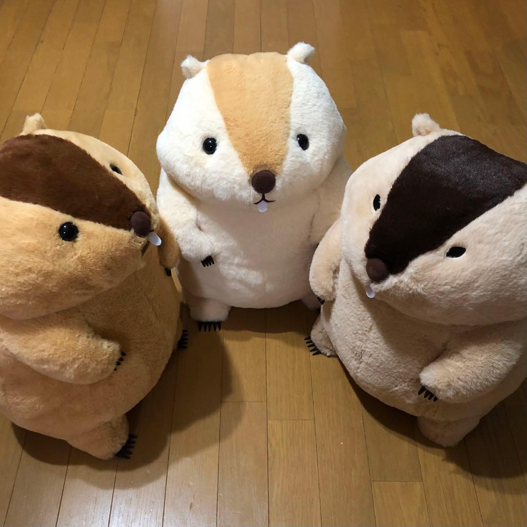 マーモットのもっとっと mottoto ウルトラBIG ぬいぐるみ - メルカリ