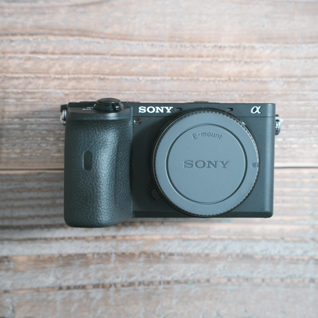 SONY α6600 ILCE-6600 デジタル一眼カメラ ILCE-6600 α6600 ミラーレス一眼カメラ ブラック [ボディ単体] SONY