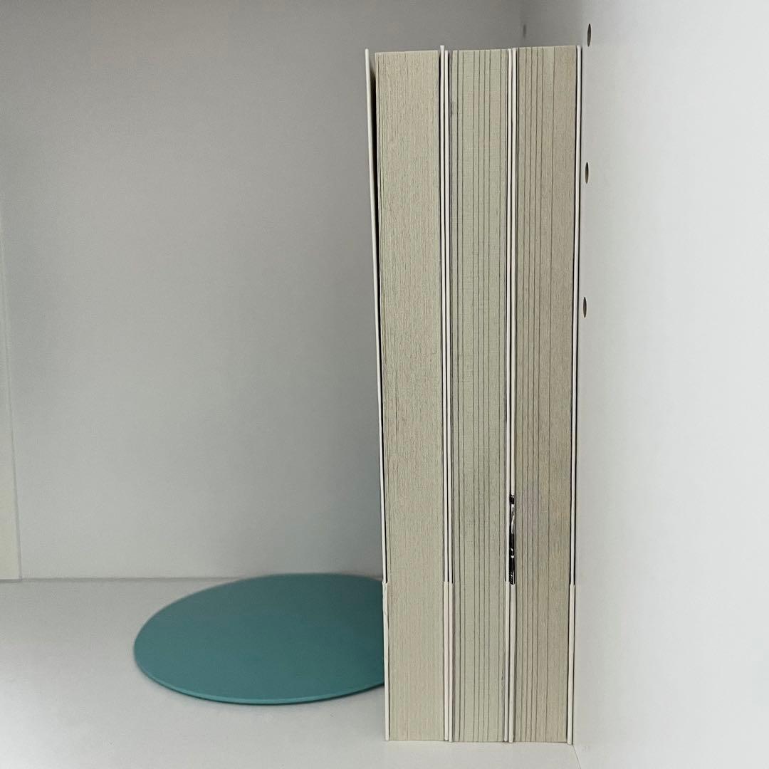 メイコの遊び場 全巻 初版帯付き - メルカリ