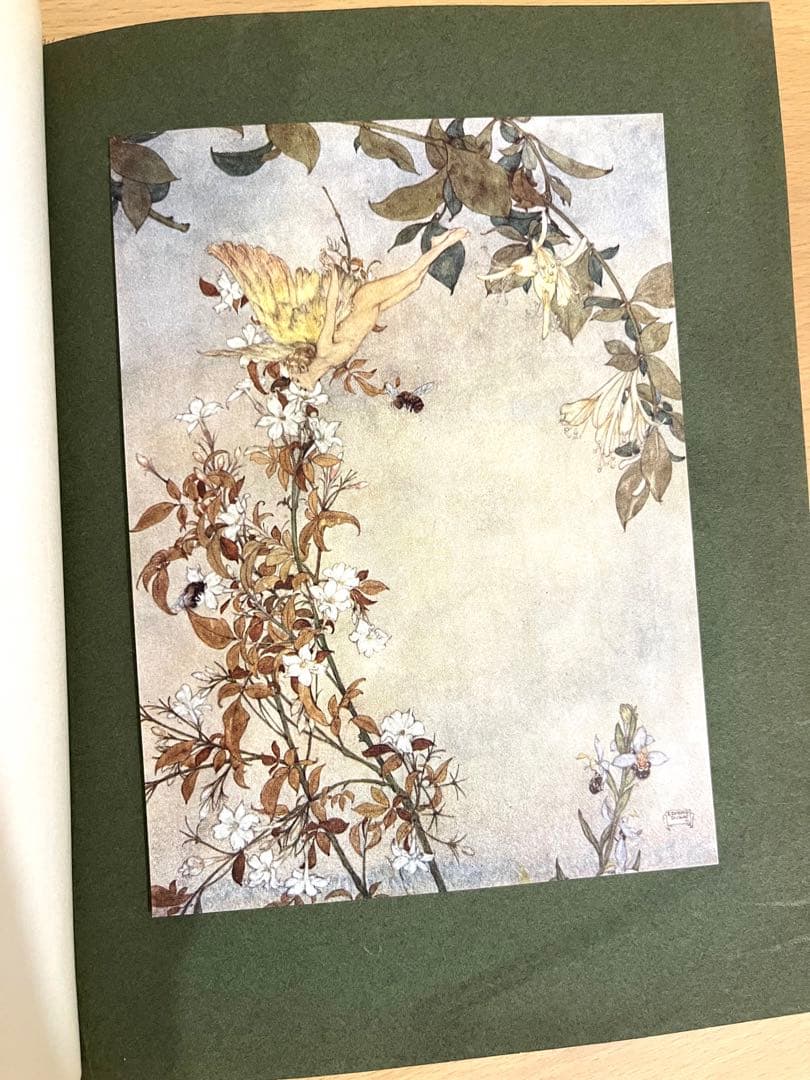 No247レア希少 アンティーク洋書 エドマンド ·デュラック