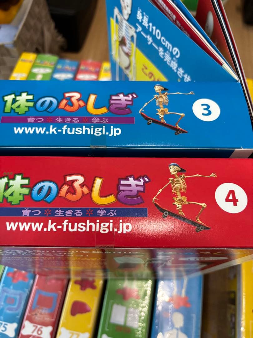 最終値下げ❗️アーサー　人体模型 セット 101個　バインダー14冊付きます