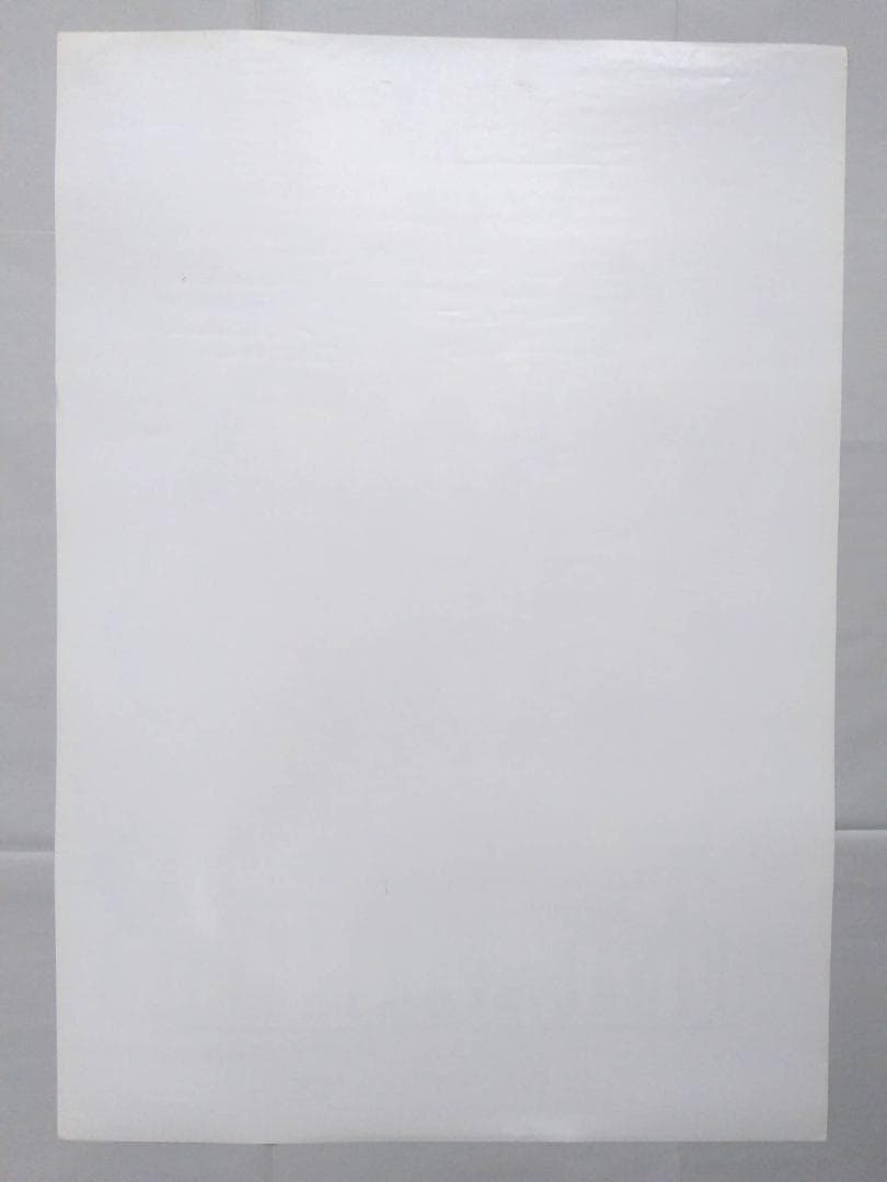 ファイナルファンタジーIX 非売品 FF9ポスター【白】 貴重 - メルカリ