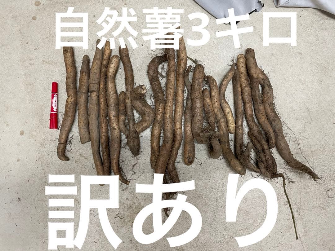 かずくん専用】ブロッコリー種子（おはよう、サミット）2種セット