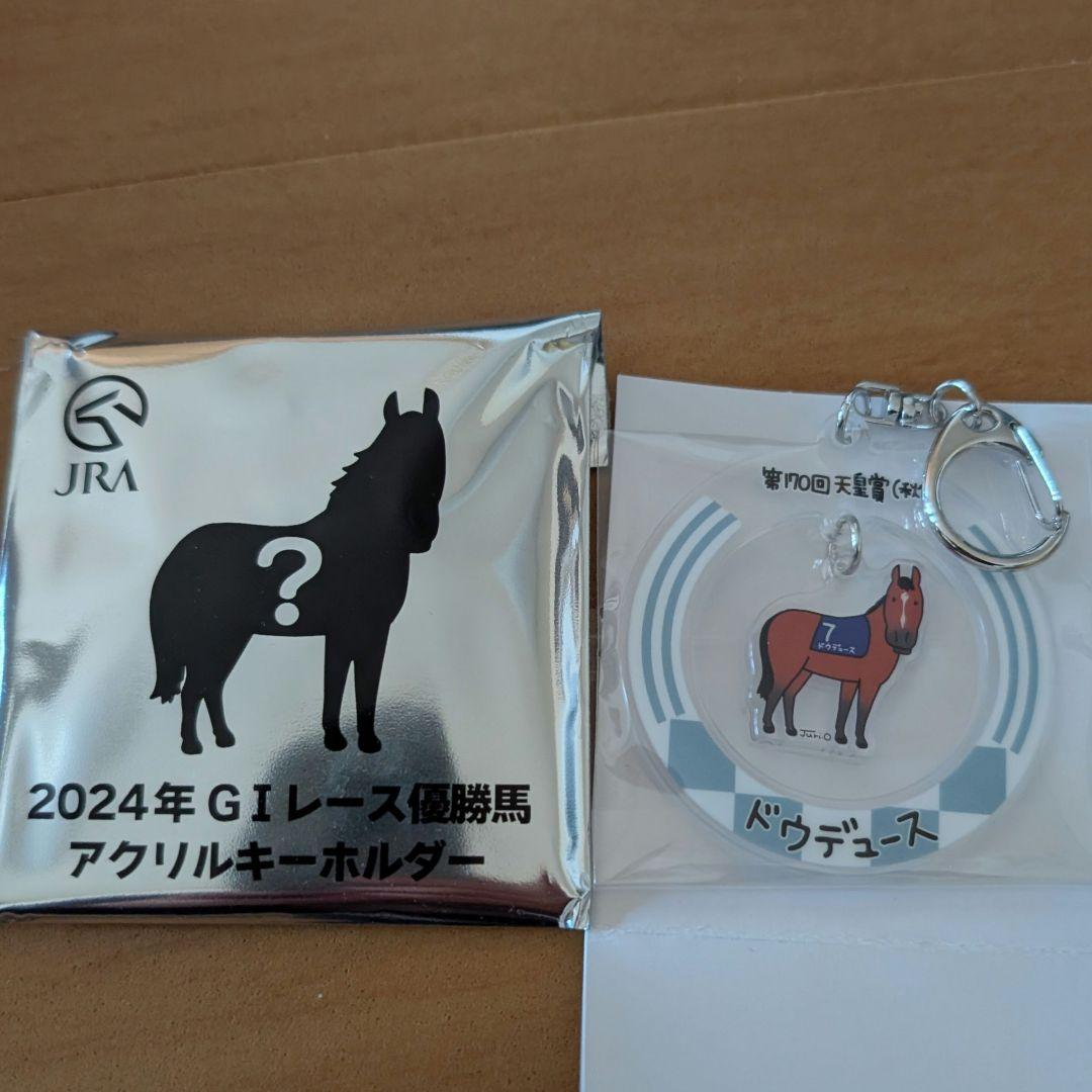 JRA ウェルカムチャンス 2024年GIレース優勝馬キーホルダー - メルカリ